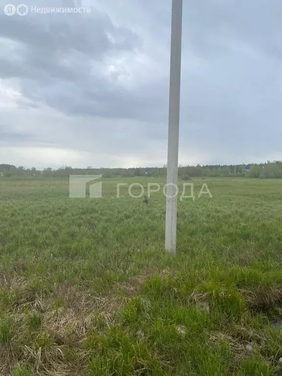 Участок в Богородский городской округ, зона Черновские Дворы (10 м) - Фото 0