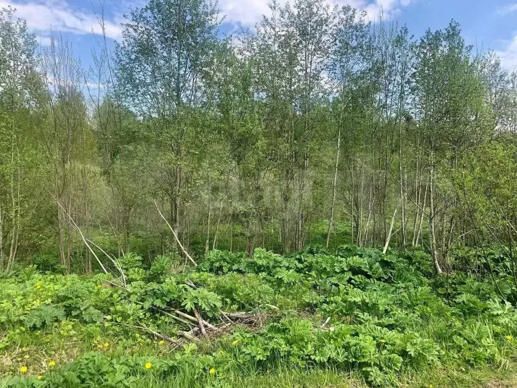 Участок 9 сот. (СНТ, ДНП) - Фото 1