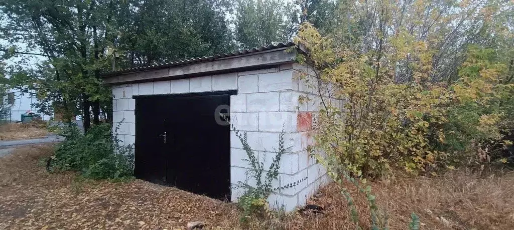 Помещение свободного назначения в Белгородская область, Вейделевка рп ... - Фото 1