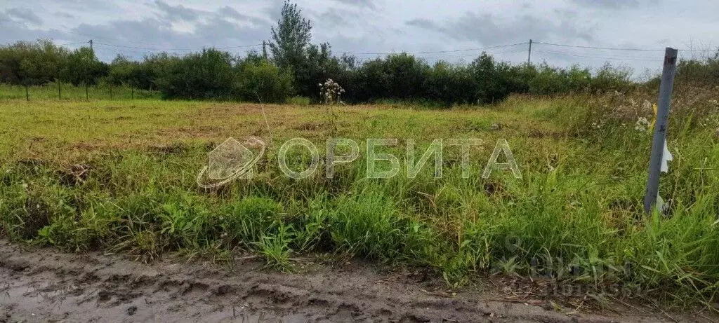 Участок в Тюменская область, Тюмень Поле Чудес-2 садовое товарищество, ... - Фото 0