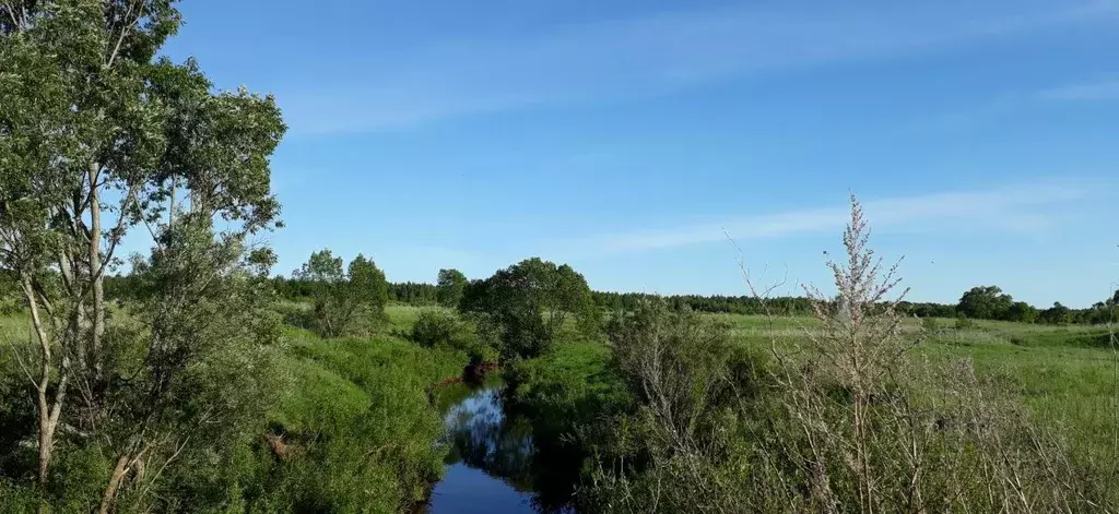 Участок в Новгородская область, Старорусский район, Великосельское ... - Фото 1