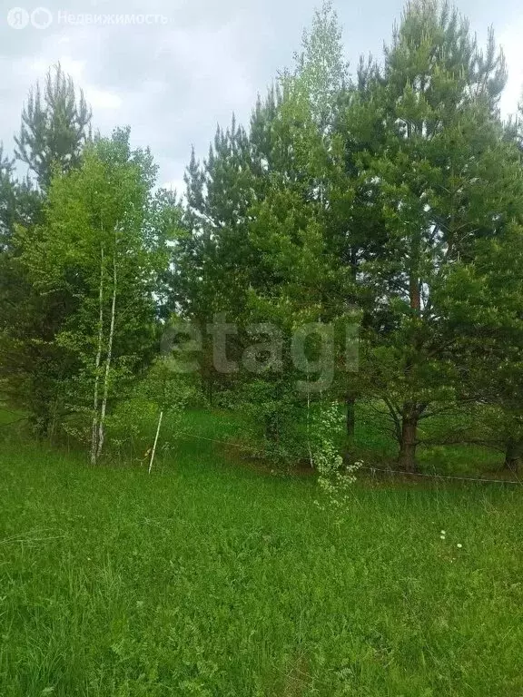 Участок в Нижнетавдинский район, деревня Московка, Центральная улица ... - Фото 0