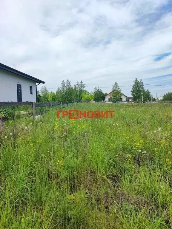 Участок в Новосибирская область, Новосибирский район, с. Верх-Тула ул. ... - Фото 2