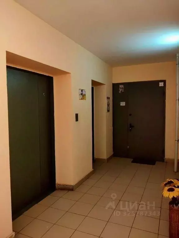 1-к кв. Московская область, Одинцовский городской округ, ВНИИССОК пгт ... - Фото 1