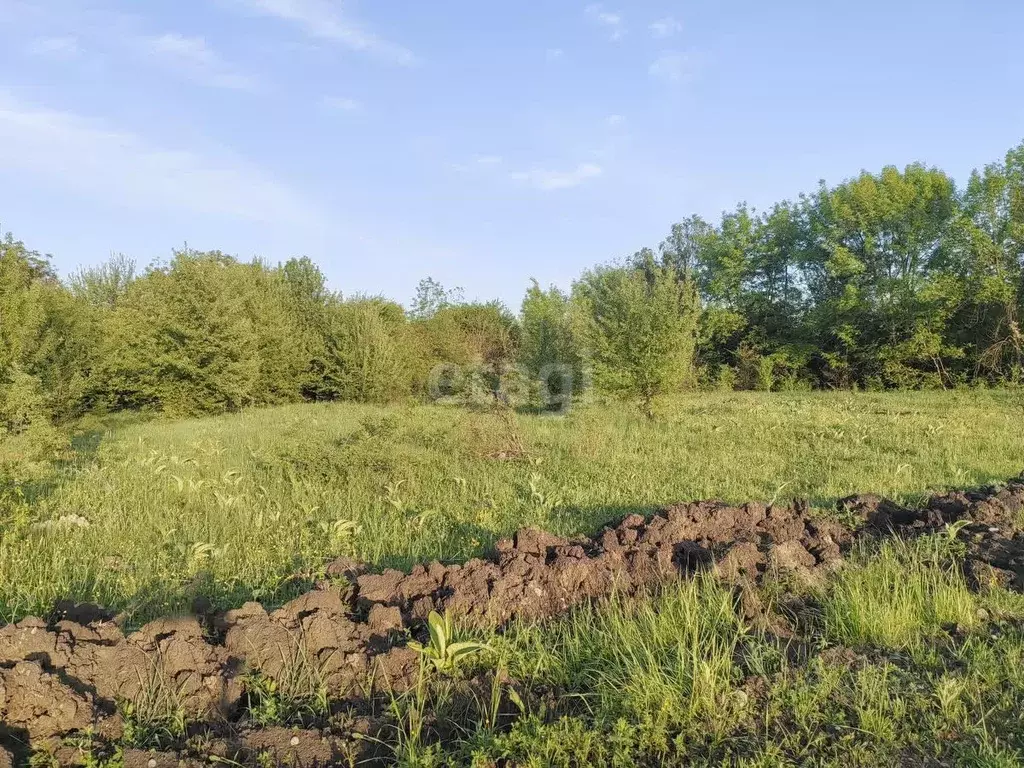 Участок в Адыгея, Майкоп городской округ, пос. Северный ул. Новая (7.6 ... - Фото 0