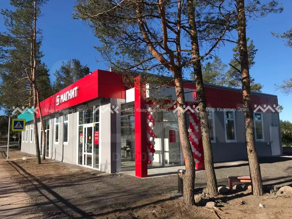Купить Недвижимость С Сетевым Арендатором