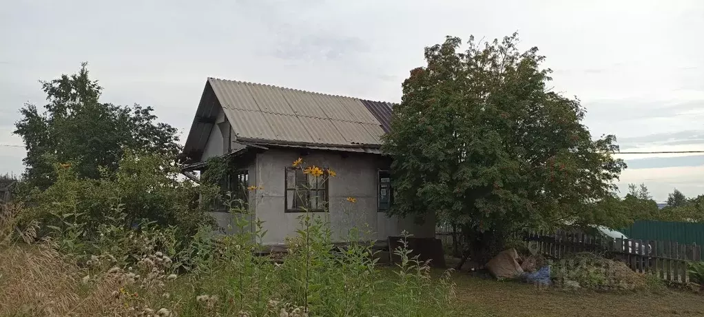 Участок в Красноярский край, Емельяновский муниципальный округ, Сухая ... - Фото 1