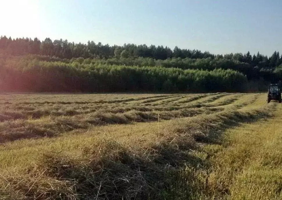 Участок в Ярославская область, Ярославский муниципальный округ, с. ... - Фото 1