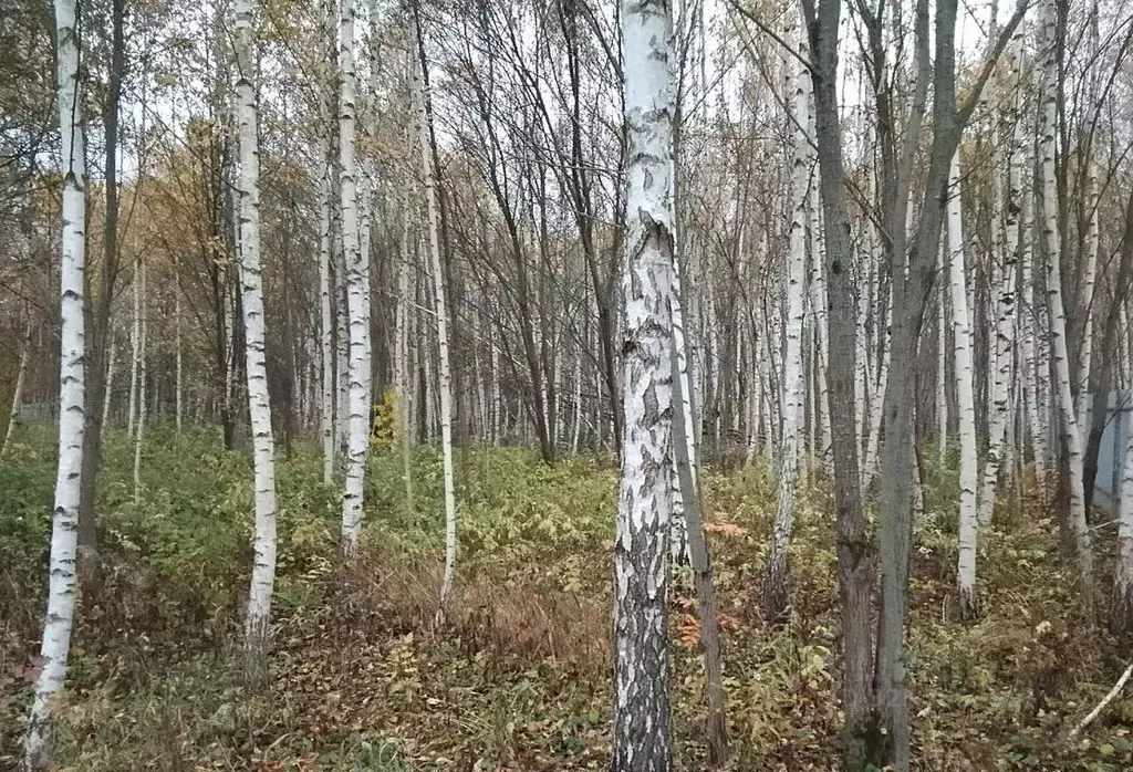 Участок в Московская область, Одинцовский городской округ, с. ... - Фото 1
