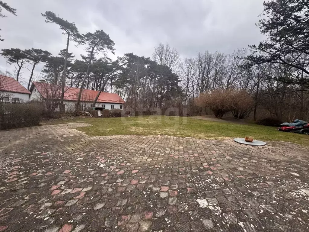 Участок в Калининградская область, Светлогорск  (126.23 сот.) - Фото 1