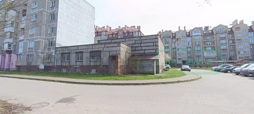 Торговая площадь в Калининградская область, Калининград ул. Нансена, ... - Фото 0