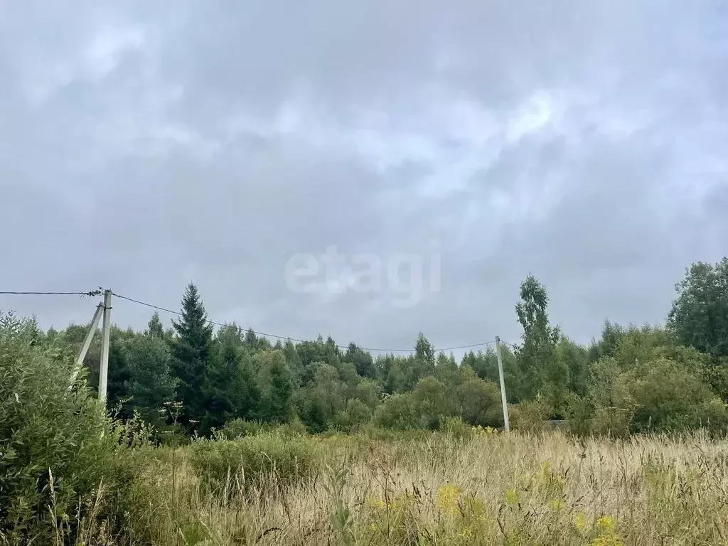 Участок в Ярославская область, Рыбинский муниципальный округ, д. ... - Фото 1