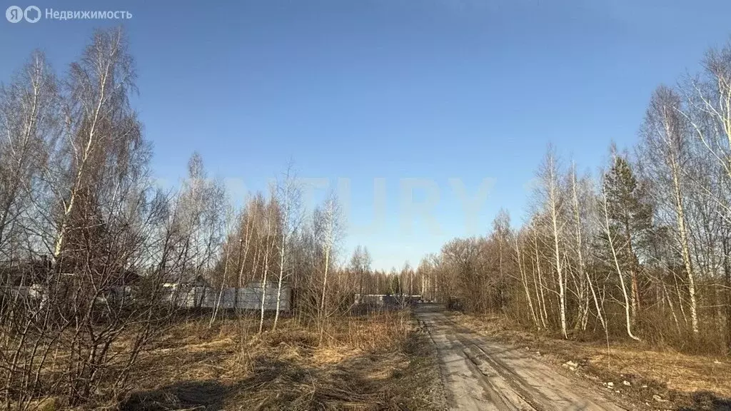 Участок в Ульяновск, СНТ Оазис-1 (10 м) - Фото 2