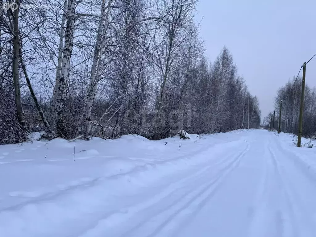 Участок в Тюмень, садоводческое некоммерческое товарищество Большое ... - Фото 1