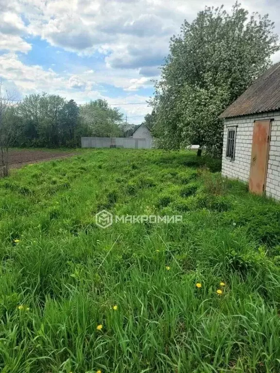 Участок в Брянская область, Брянский район, Мичуринское с/пос, ... - Фото 1