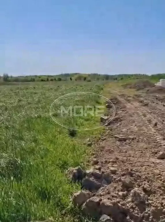 Участок в Калининградская область, Гурьевский муниципальный округ, ... - Фото 1