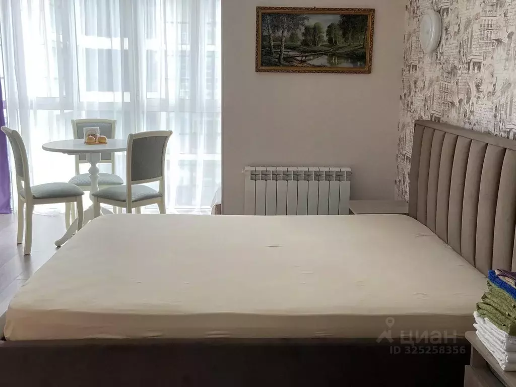 1-к кв. Краснодарский край, Сочи Виноградная ул., 4 (31.0 м) - Фото 2