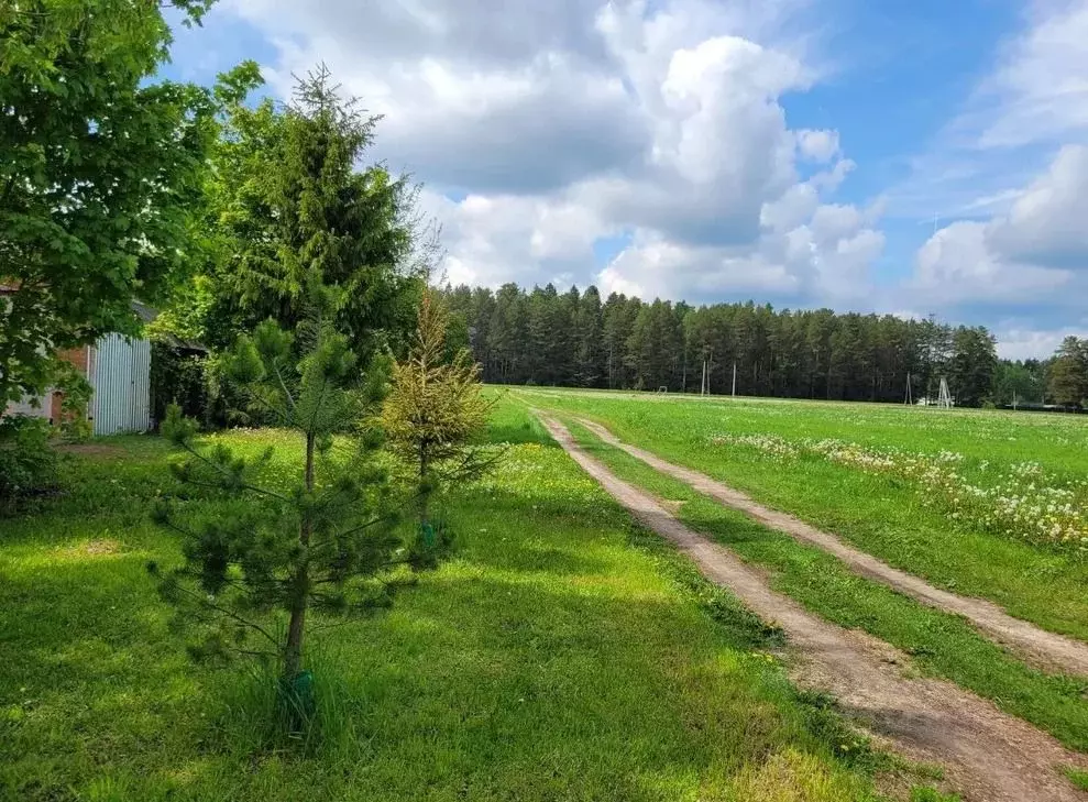 Участок в Московская область, Клин городской округ, с. Воздвиженское  ... - Фото 0