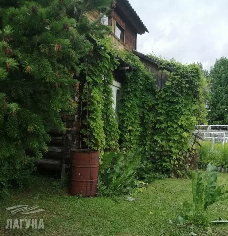 Участок в Томская область, Томский район, Наука СТ  (8.0 сот.) - Фото 2