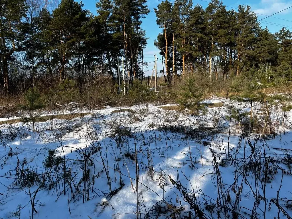 Участок в Орловская область, Орловский район, д. Нижняя Лужна, ... - Фото 1