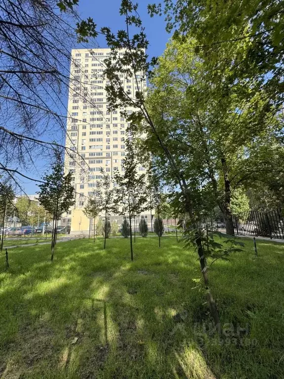 Студия Ростовская область, Ростов-на-Дону просп. Стачки, 215Б (30.0 м) - Фото 1