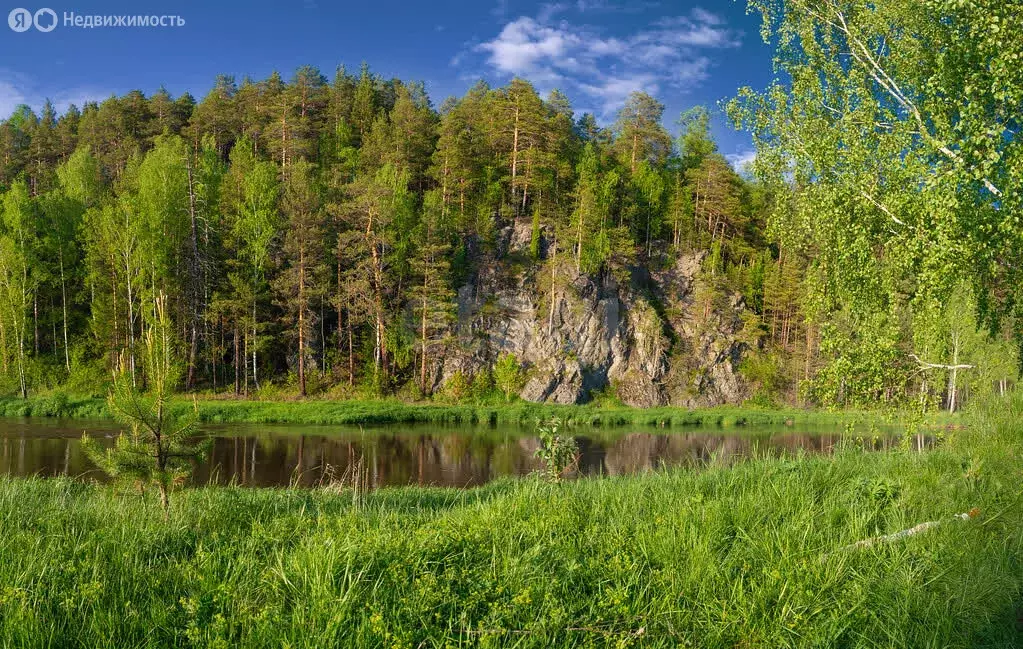 Участок в Свердловская область, Верхняя Салда (1309.74 м) - Фото 0