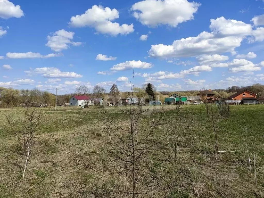 Участок в Калужская область, Ферзиковский муниципальный округ, ... - Фото 2