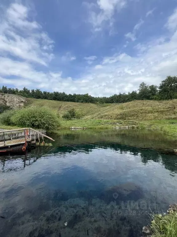 Участок в Башкортостан, Кармаскалинский район, Старомусинский ... - Фото 1