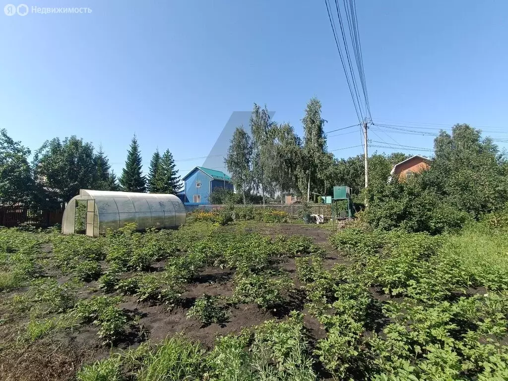 Участок в Омск, территория СОСН Строитель-84, аллея 3С (6.8 м) - Фото 1