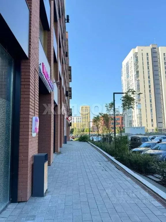 Помещение свободного назначения в Новосибирская область, Новосибирск ... - Фото 1