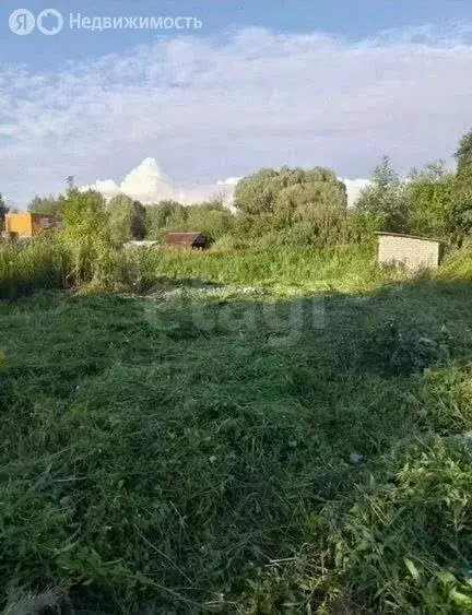 Участок в Калининград, СНТ Мелиоратор, улица Берёзовая Роща (6.6 м) - Фото 2