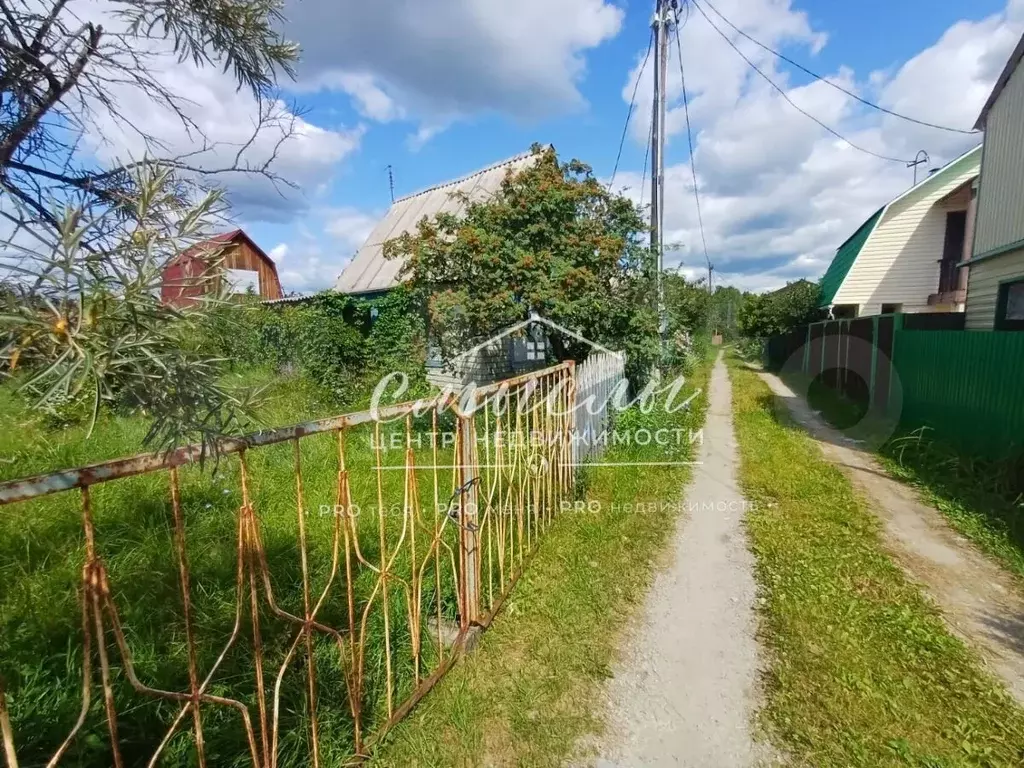 Дача 25 м на участке 4 сот. - Фото 1