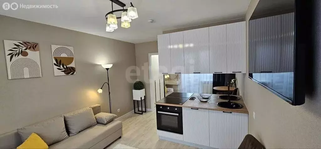 Квартира-студия: Пермь, улица Солдатова, 30Б (23.5 м) - Фото 1