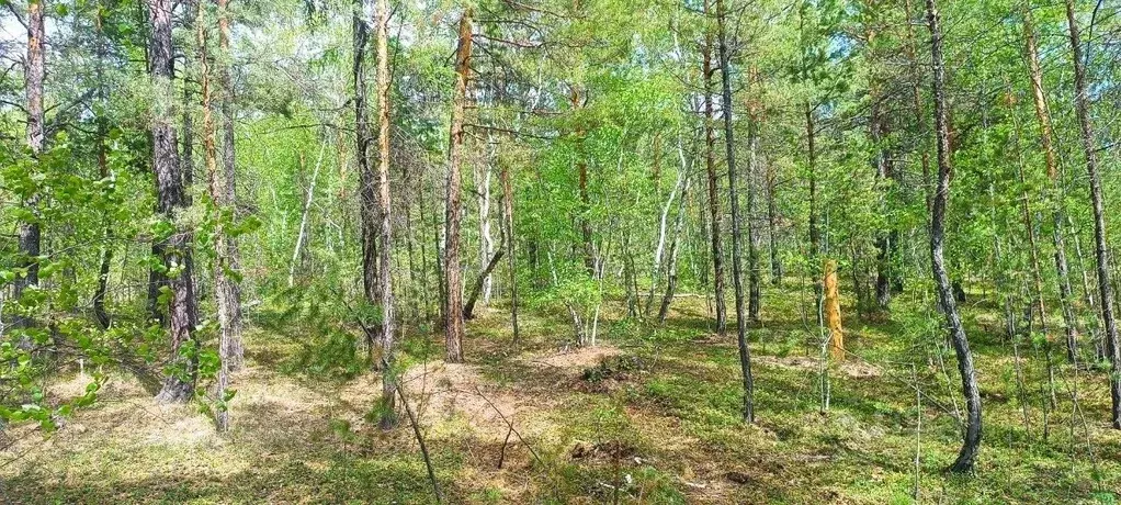 Участок в Саха (Якутия), Якутск городской округ, с. Маган  (6.0 сот.) - Фото 2