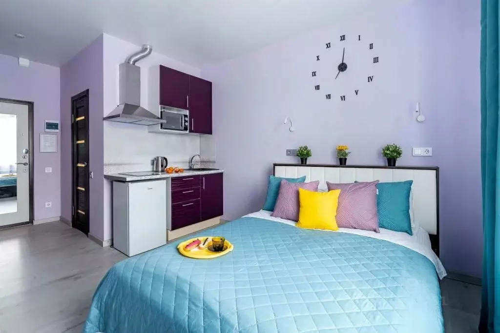 1-к кв. Санкт-Петербург Старо-Петергофский просп., 41 (25.0 м) - Фото 1