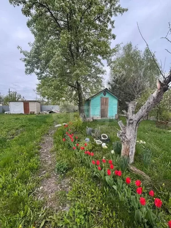 Дом в Московская область, Коломна Весна садовое товарищество,  (15 м) - Фото 0