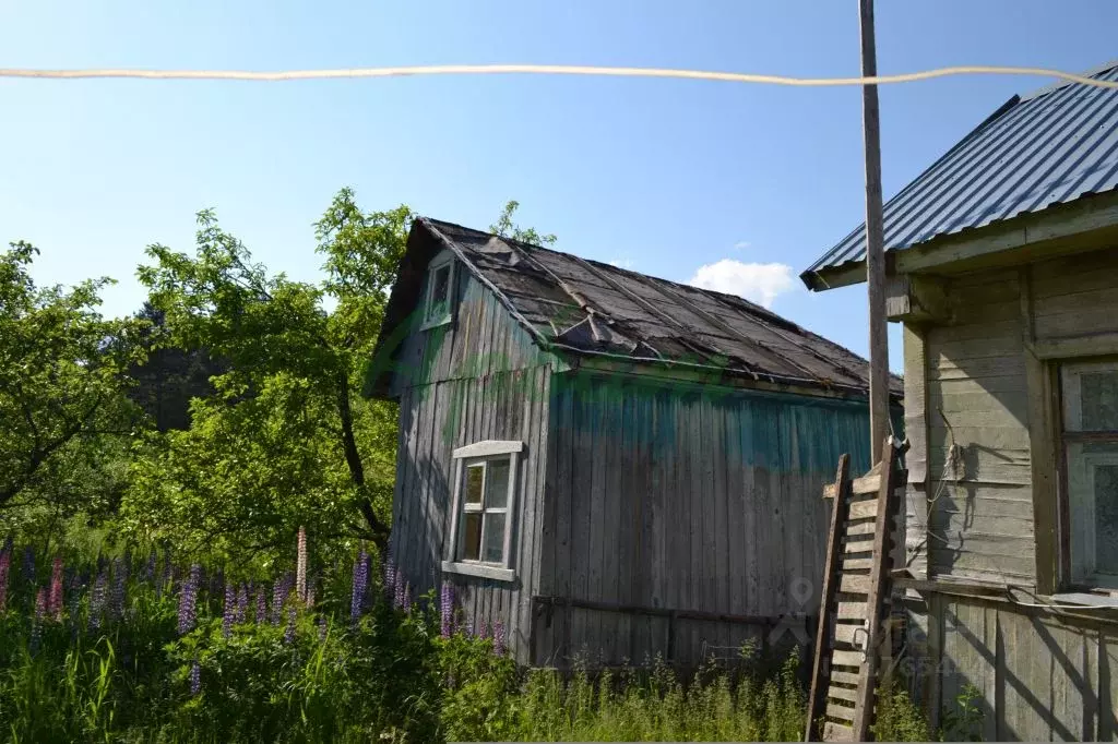Купить Дачу В Сахарово Тверь
