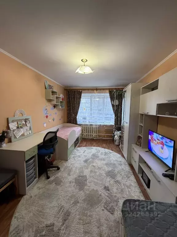 1-к кв. Псковская область, Великие Луки пер. Некрасова, 8 (29.5 м) - Фото 1