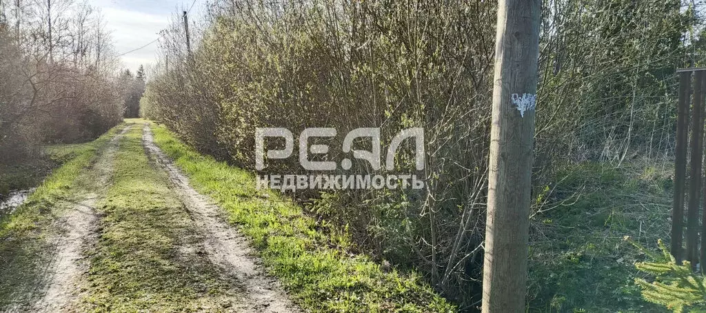 Участок в Ленинградская область, Гатчинский муниципальный округ, СНТ ... - Фото 1
