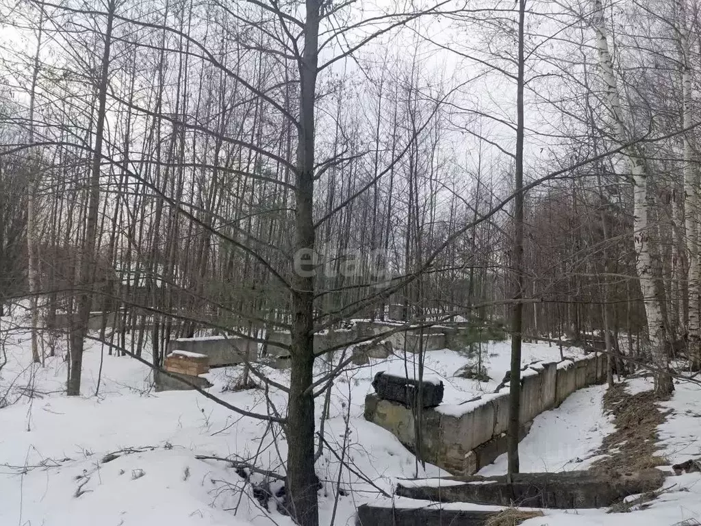 Участок в Нижегородская область, Выкса городской округ, с. Борковка, ... - Фото 2