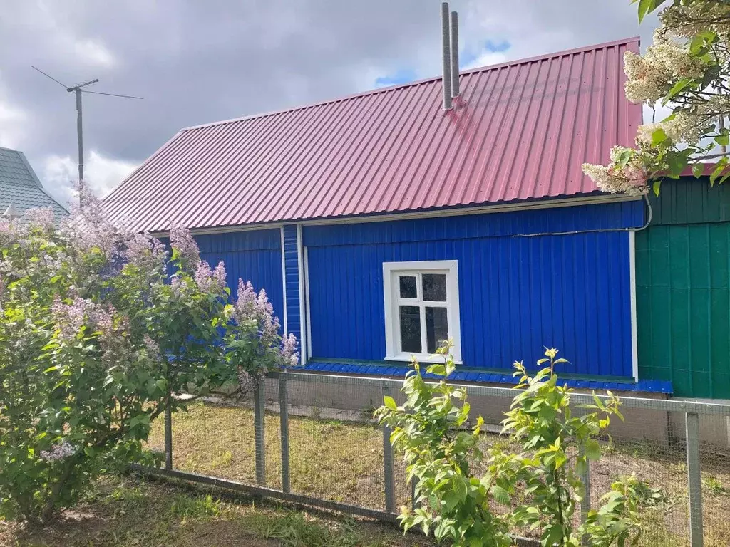 Дом в Саратовская область, Петровск ул. Радищева, 226 (32 м) - Фото 1