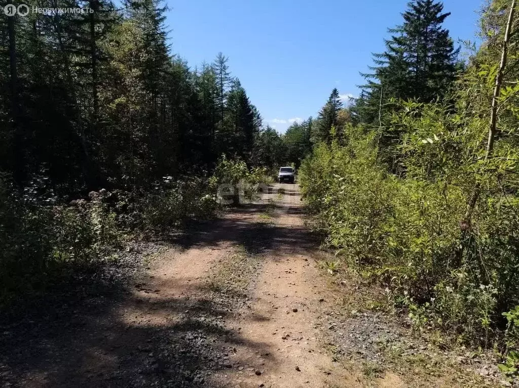 Участок в Долинск, Хабаровская улица (11 м) - Фото 2