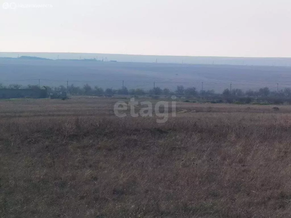 Участок в Черноморский район, Оленевское сельское поселение, село ... - Фото 2
