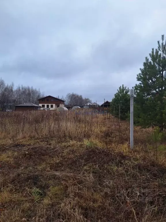 Участок в Нижегородская область, Богородский муниципальный округ, д. ... - Фото 0