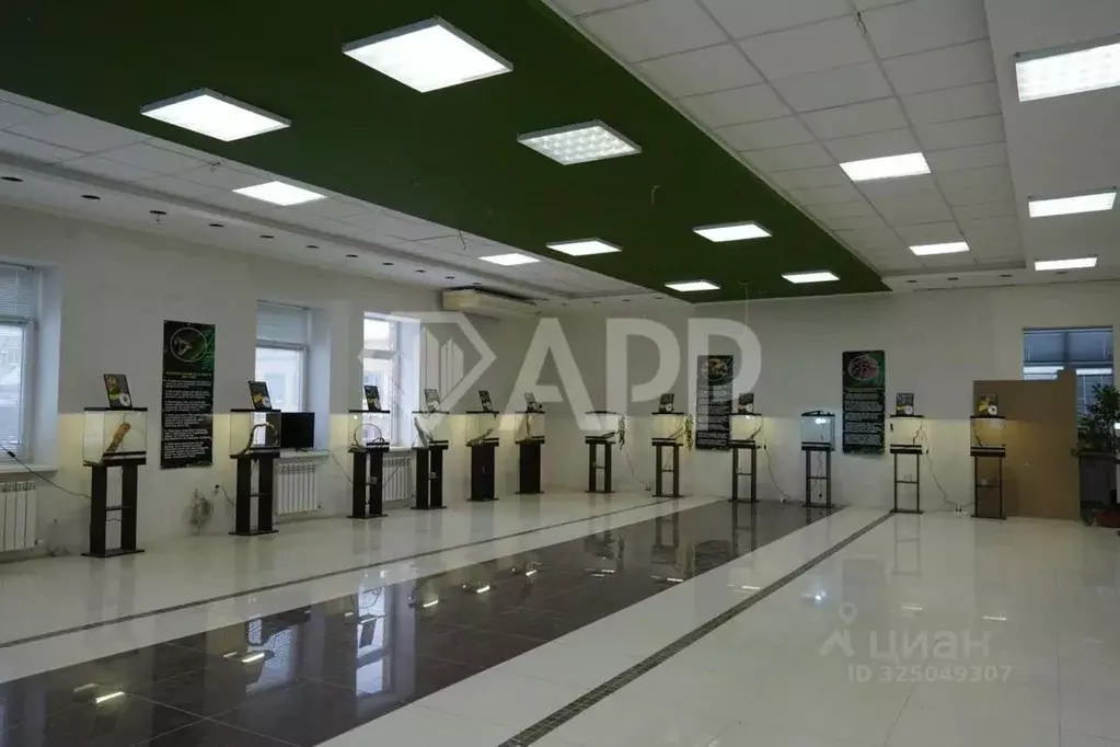 Помещение свободного назначения в Марий Эл, Волжск ул. Ленина, 55Д ... - Фото 2