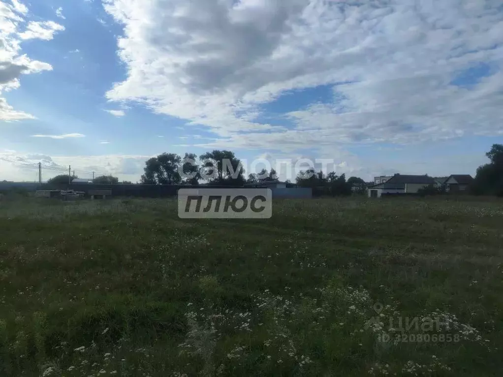 Участок в Курская область, Курский район, Лебяженский сельсовет, д. ... - Фото 1