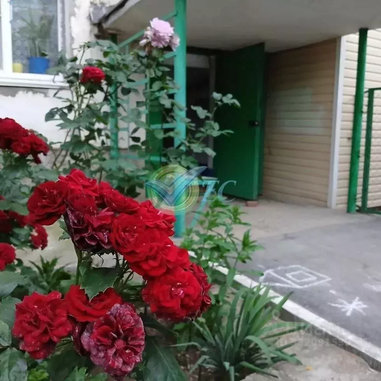 1-к кв. Крым, Феодосия ул. Гарнаева, 65 (32.0 м) - Фото 1
