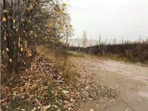 Участок в Санкт-Петербург Мичманская ул. (692.0 сот.) - Фото 2