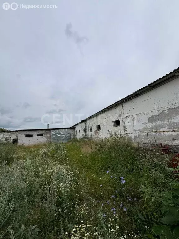 Помещение свободного назначения (4500 м) - Фото 2