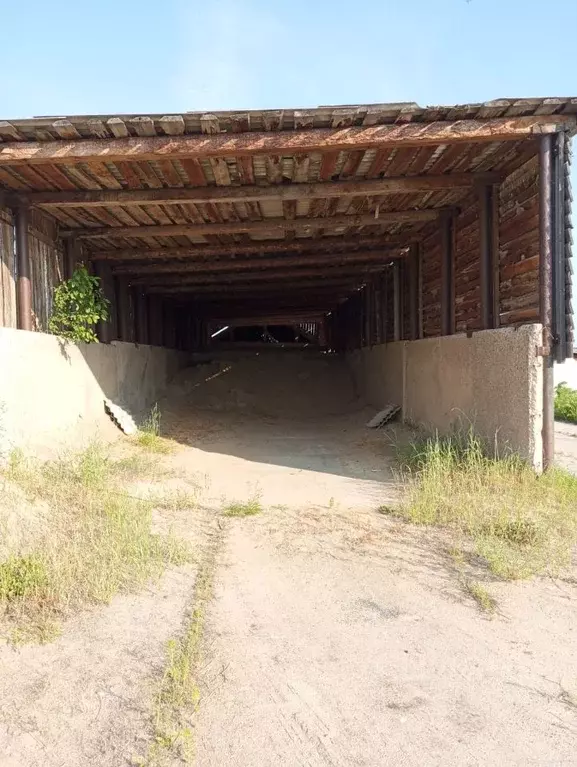 Помещение свободного назначения в Томская область, с. Парабель ул. ... - Фото 1